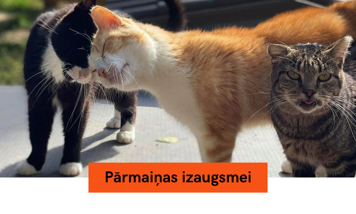 Dzīvnieku aizsardzības jautājumu risināšana prasa kompleksu pieeju